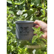 Lot 2 Mugs Céramique Vintage - Bleu Mate & Gris Mate